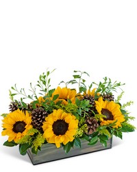 Rustic Autumn Fields from Brennan's Florist and Fine Gifts in Jersey City